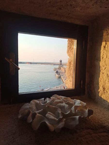 Monopoli: Private Guided Tour - Customer Reviews