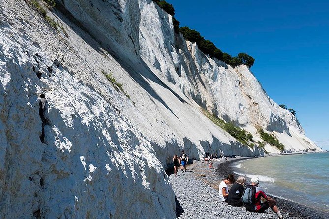 Møns Klint and the Forest Tower - a Day Tour From Copenhagen - Practical Information