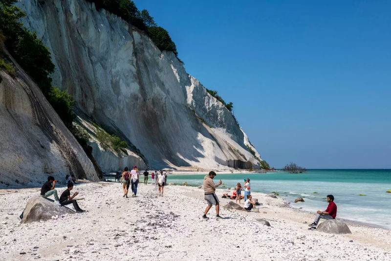 Mons Klint & Forest Tower Full-Day Small Group Tour - The Forest Tower stop: leave room for a proper pause
