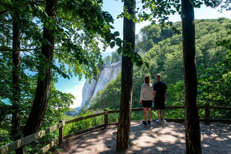 Mons Klint & Forest Tower Full-Day Small Group Tour - The ride matters on a full day