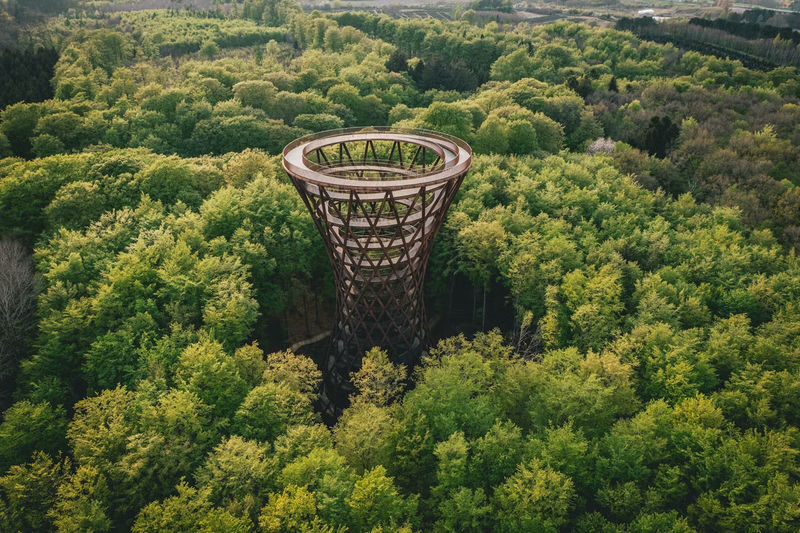 Mons Klint & Forest Tower Full-Day Small Group Tour - Getting ready for the day