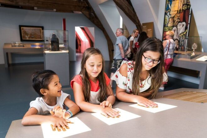 Mons : The Doudou Museum - Selecting Participants and Date