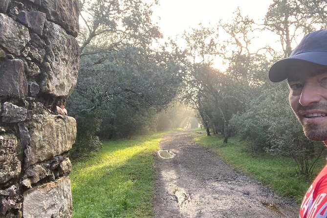 Monsanto Hike Between Strawberry Trees - Scenic Highlights
