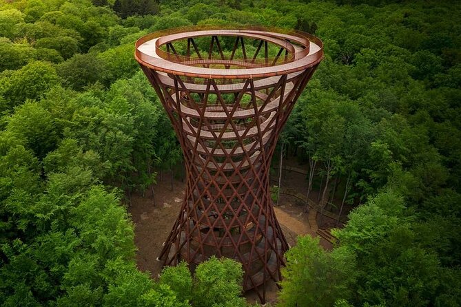 Mønsklint, Forest Tower and Forgotten Giants -Private Tour - Encounter the Forgotten Giants