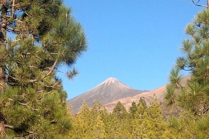 Monster Quad Teide Tour - Pickup and End Points