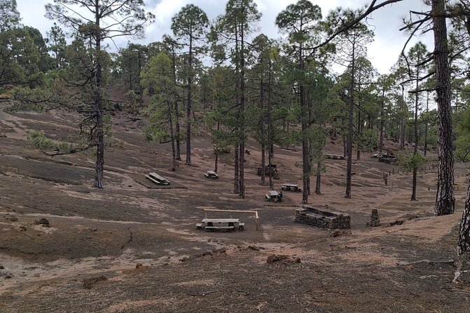 Monster Quad Teide Tour - Traveler Photos and Reviews