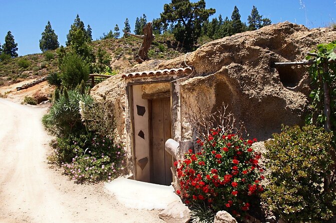 Monster Quad Teide Tour - Questions and Terms