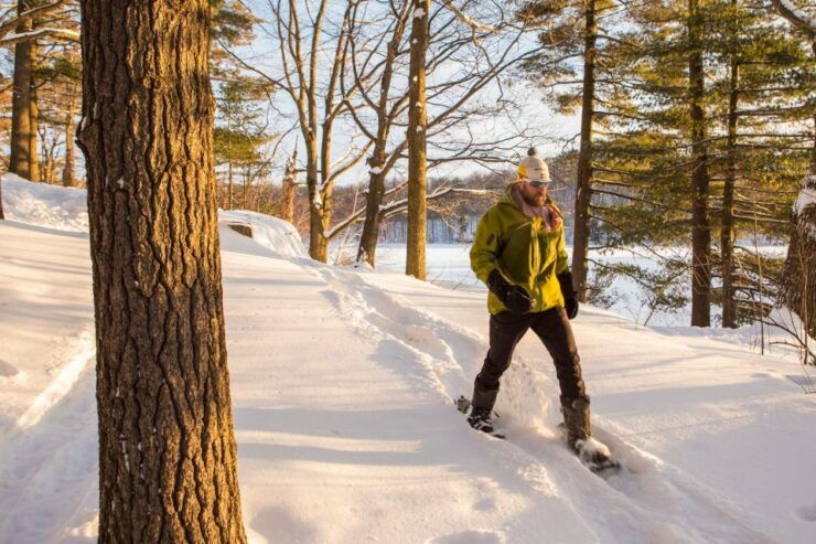 Mont-Saint-Bruno: Park Entry With Fat-Bike and Snowshoeing - Experience Highlights at Mont-Saint-Bruno