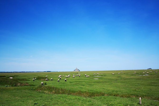 Mont Saint-Michel Day Trip From Bayeux (Shared Tour) - Positive Reviews and Recommendations