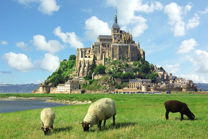 Mont Saint Michel Private Tour From Le Havre Cruise Port/Hotels - Tour Details