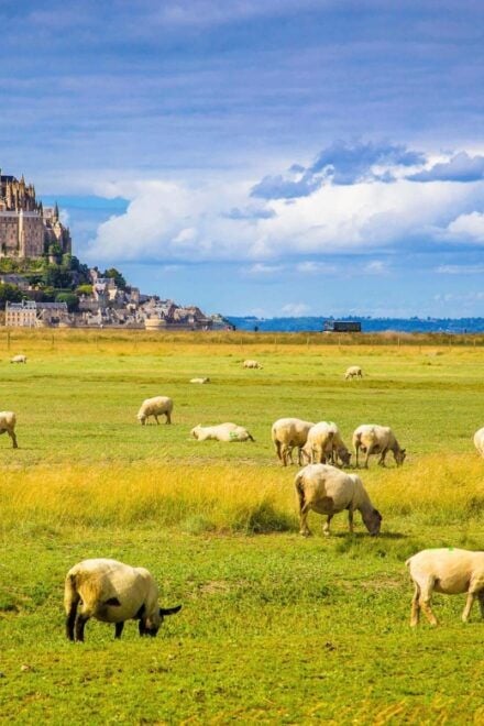 Mont Saint-Michel: Self-Guided Tour of the Island - Tour Highlights