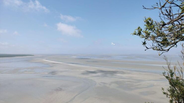 Mont-St-Michel: Small Group Guided Tour With Abbey Ticket - Tour Details