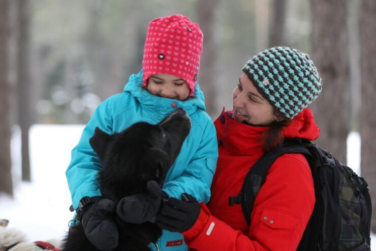 Mont-Tremblant: Dogsledding Experience - Key Experience Highlights