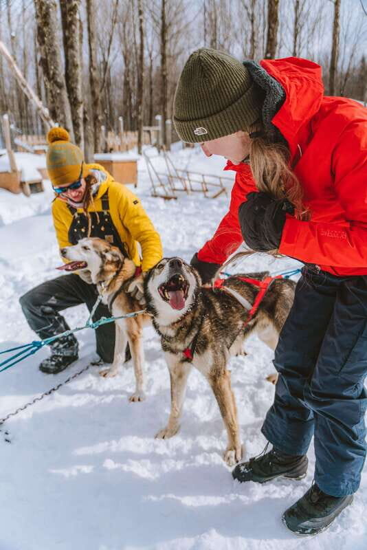 Mont-Tremblant: Dogsledding Upper Laurentians - Good To Know