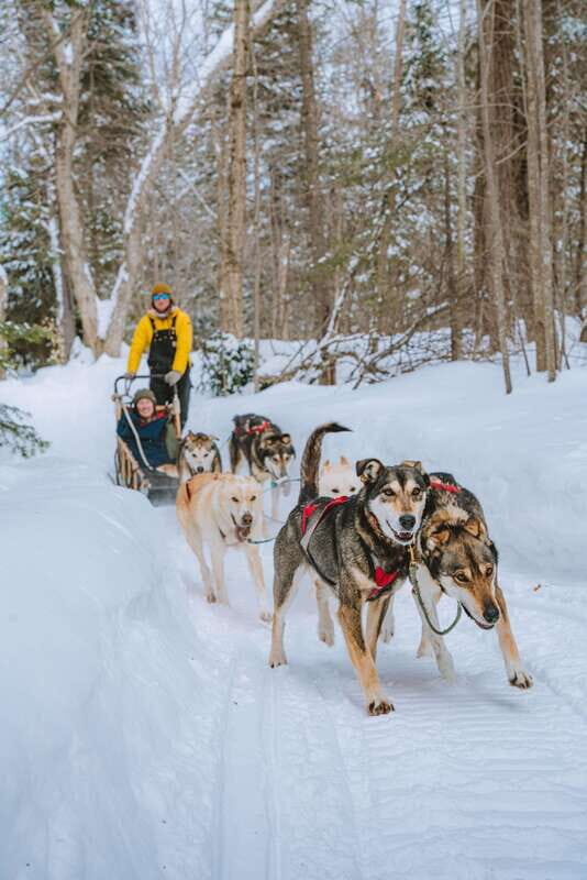 Mont-Tremblant: Dogsledding Upper Laurentians - An Authentic and Scenic Dogsledding Adventure