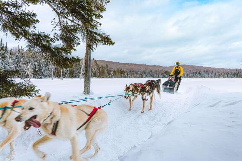 Mont-Tremblant: Dogsledding Upper Laurentians - What to Expect and Practical Details