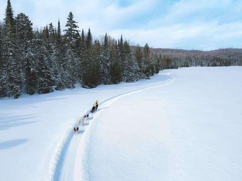 Mont-Tremblant: Dogsledding Upper Laurentians - Final Thoughts