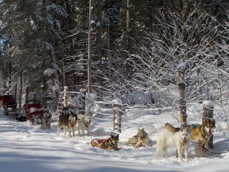 Mont-Tremblant: Dogsledding Valley Adventure - The Itinerary: Step by Step