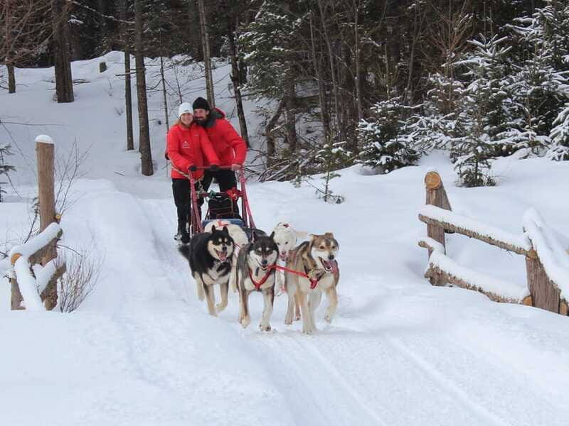 Mont-Tremblant: Dogsledding Valley Adventure - Value and Pricing Analysis