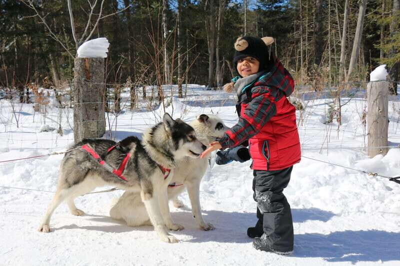 Mont-Tremblant: Dogsledding Valley Adventure - Practical Tips for Your Dogsledding Experience