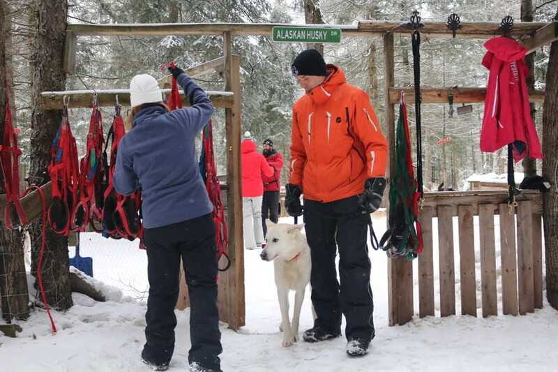 Mont-Tremblant: Dogsledding Valley Adventure - Who Is This Tour Best Suited For?