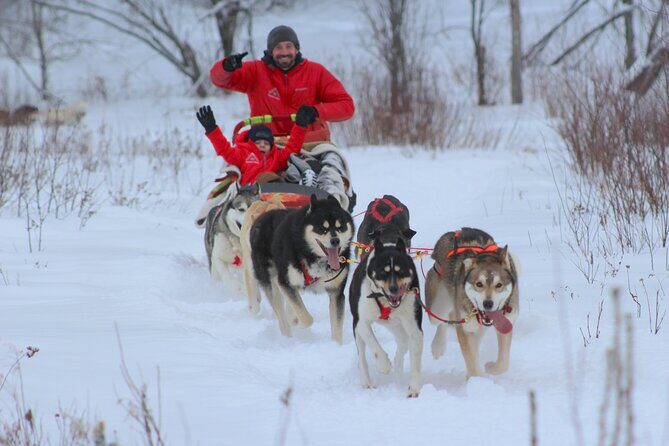 Mont Tremblant Dogsledding Valley Adventure - Good To Know