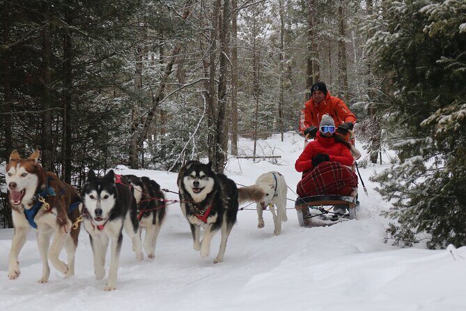 Mont Tremblant Dogsledding Valley Adventure - The Sum Up