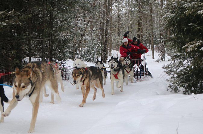 Mont Tremblant Dogsledding Valley Adventure - FAQ