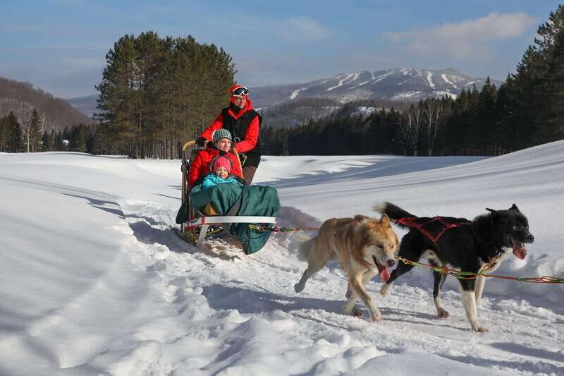 Mont-Tremblant: Guided Dogsledding Tour with Hot Chocolate - Who Will Love This Tour?