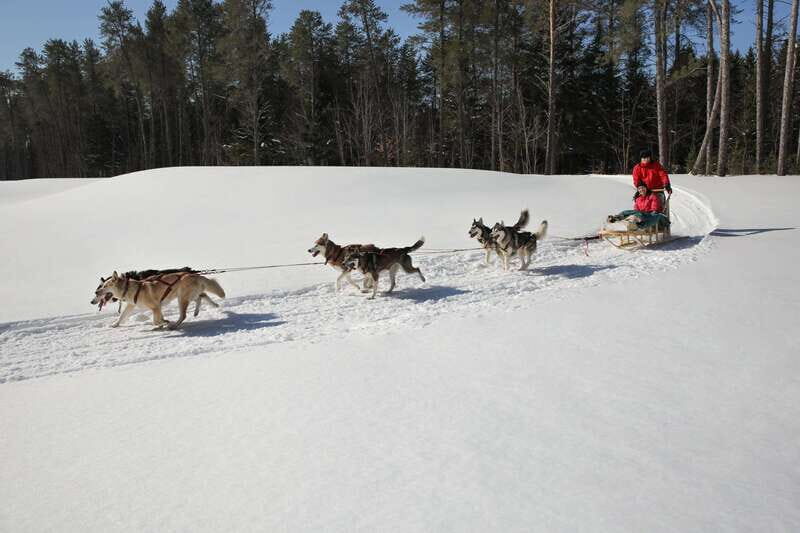 Mont-Tremblant: Guided Dogsledding Tour with Hot Chocolate - FAQ: Practical Questions About the Dogsledding Tour