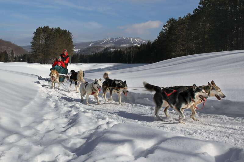 Mont-Tremblant: Guided Dogsledding Tour with Hot Chocolate - Final Thoughts