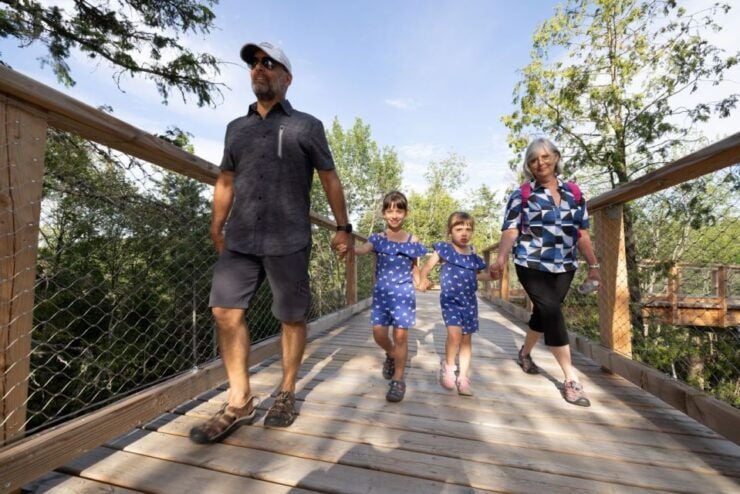 Mont-Tremblant: Laurentians Treetop Observatory and Walk - Ticket Information