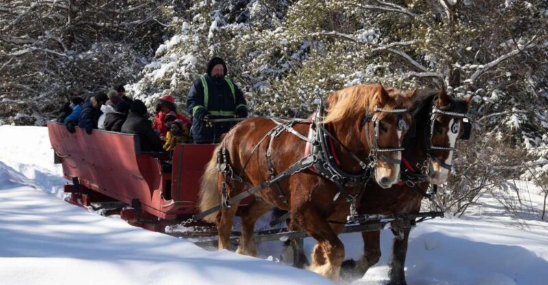 Mont-Tremblant: Sleigh Ride w/ Storytelling & Hot Chocolate - Good To Know
