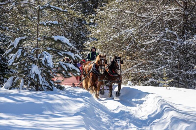 Mont-Tremblant: Sleigh Ride w/ Storytelling & Hot Chocolate - A Full Breakdown of the Mont-Tremblant Sleigh Ride Experience