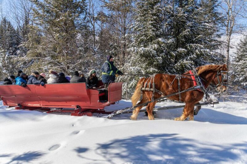 Mont-Tremblant: Sleigh Ride w/ Storytelling & Hot Chocolate - Who Will Love It?