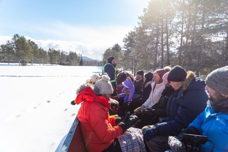 Mont-Tremblant: Sleigh Ride w/ Storytelling & Hot Chocolate - Practical Tips for Visitors