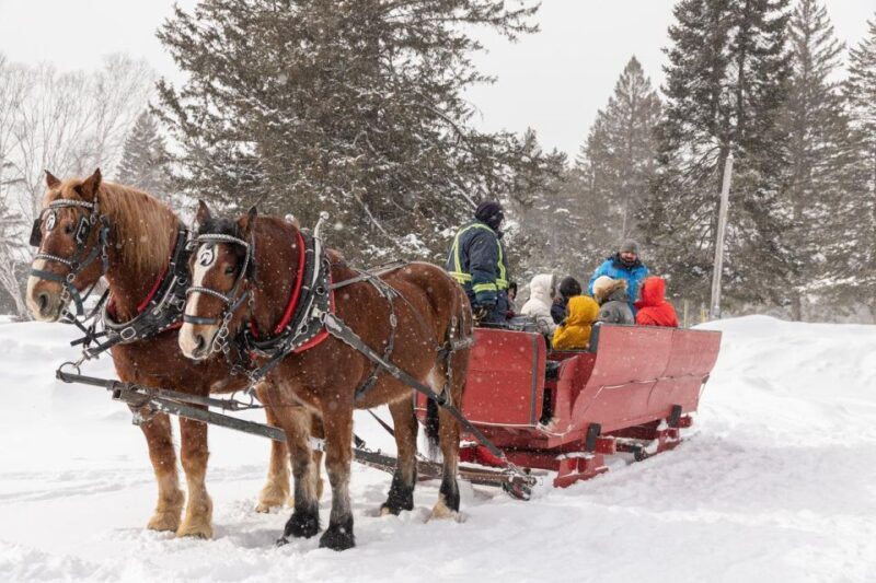 Mont-Tremblant: Sleigh Ride w/ Storytelling & Hot Chocolate - Frequently Asked Questions
