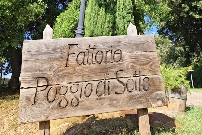 MONTALCINO 2 Top Wineries and a Restaurant. Vip Limousine Service - Tour Itinerary