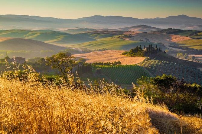 Montalcino and Montepulciano Wine Tour From Siena - Logistics