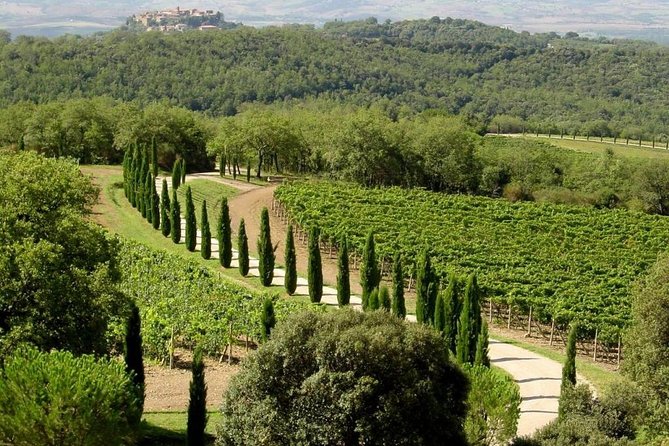 Montalcino and Pienza Tour From Rome - Tour Highlights
