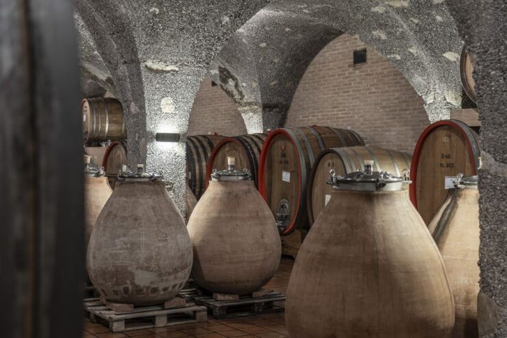Montalcino: Backstage Brunello & Gourmet Wine-Food Tasting - Tour Details
