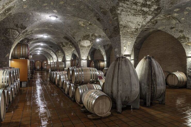 Montalcino: Backstage Brunello & Gourmet Wine-Food Tasting - Activity Highlights