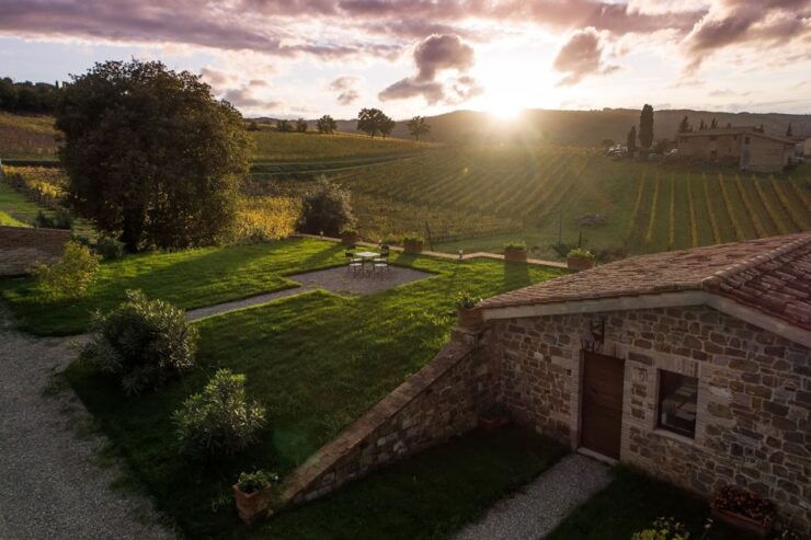 Montalcino: Basic Wine Tasting - Guided Tasting of 3 Wines - Good To Know