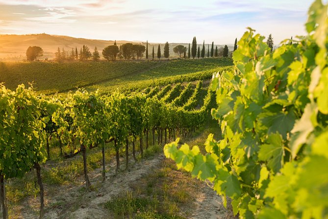 Montalcino: Brunello Wine Tasting & Lunch in a Tuscan Castle - Tuscan Lunch in a Castle