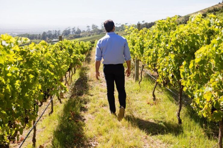Montalcino: Castle and Vineyards Tour With Tasting - Ticket Details