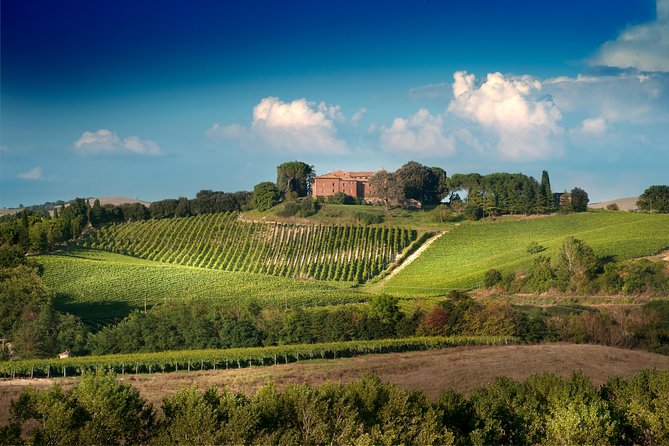 Montalcino Castle and Vineyards Tour With Tasting - Tour Overview and Highlights