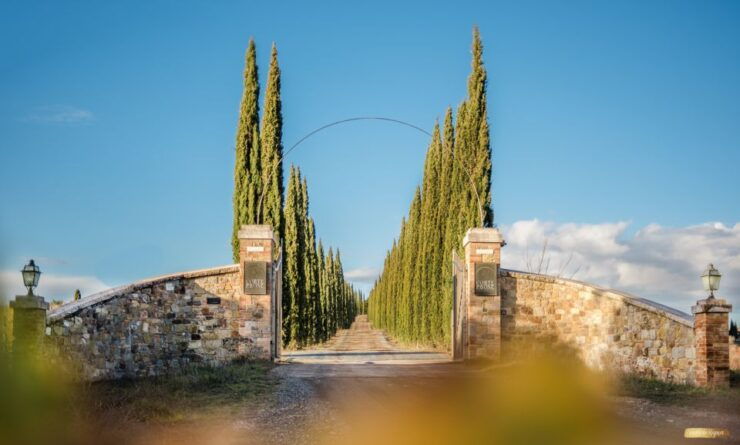 Montalcino: Gourmet Wine & Food Tasting - Activity Details