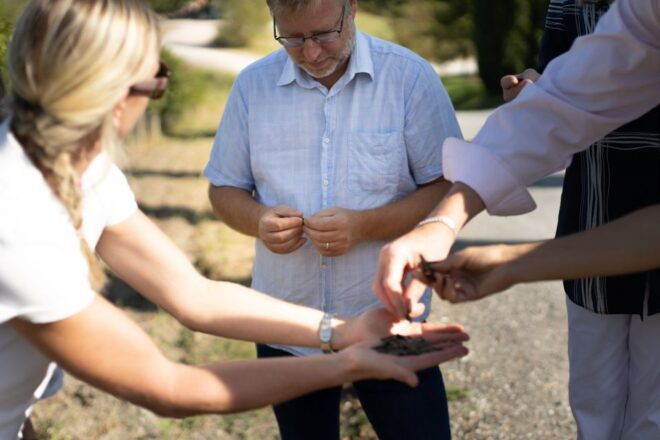 Montalcino: Guided Winery Tour and WineTasting - Customer Reviews