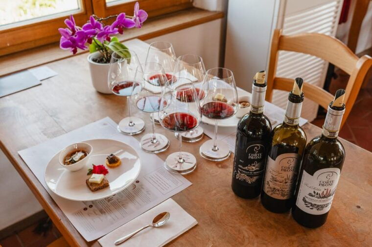 Montalcino: Guided Winery Tour & Gourmet Food Tasting - Wine Tasting Experiences