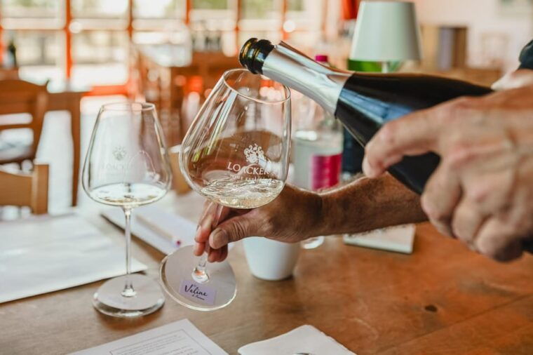 Montalcino: Guided Winery Tour & Gourmet Food Tasting - Customer Feedback and Ratings